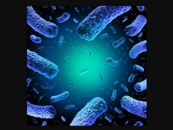 Recall Alert! FDA Recalls Frozen Blueberries Over Life-Threatening Listeria Risk In Several States