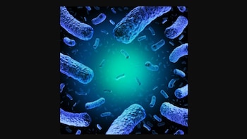 Recall Alert! FDA Recalls Frozen Blueberries Over Life-Threatening Listeria Risk In Several States