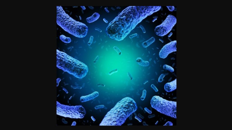 Recall Alert! FDA Recalls Frozen Blueberries Over Life-Threatening Listeria Risk In Several States