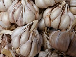 Don't Throw The Garlic Peels: Nutritionist Suggests Sustainable Hack To Boost Immunity