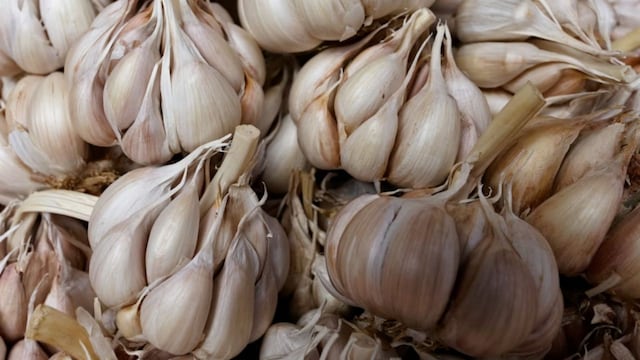 Don't Throw The Garlic Peels: Nutritionist Suggests Sustainable Hack To Boost Immunity