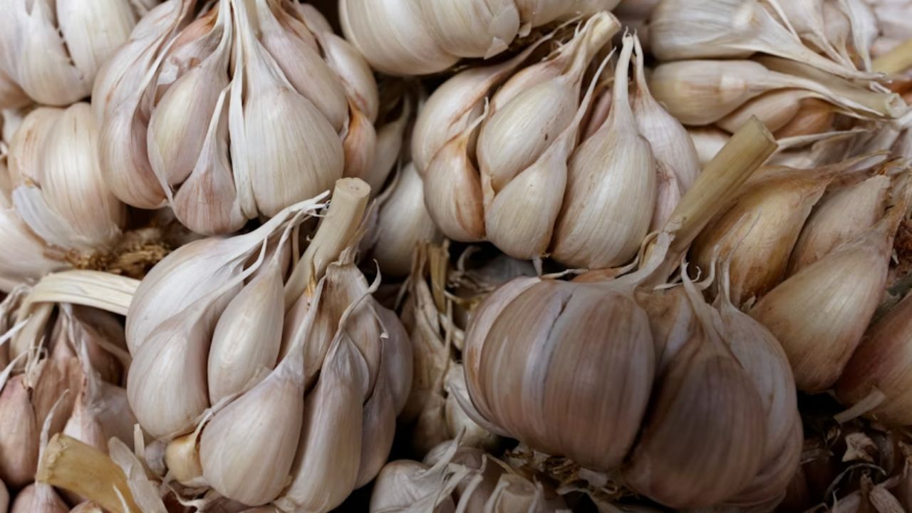 Don't Throw The Garlic Peels: Nutritionist Suggests Sustainable Hack To Boost Immunity
