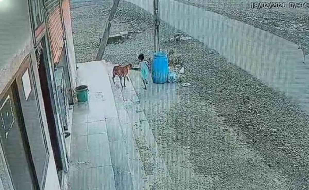 The Art of Baking: From Classic Bread to Artisan Pastries