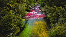 Why This River In Colombia Turns Five Colours Every Year