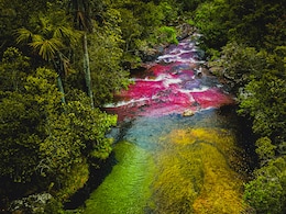 Why This River In Colombia Turns Five Colours Every Year
