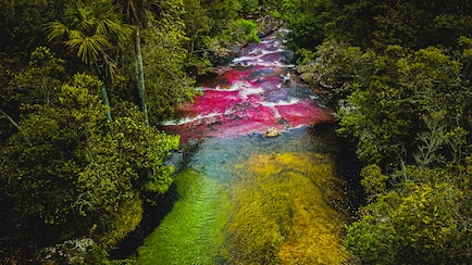 Why This River In Colombia Turns Five Colours Every Year