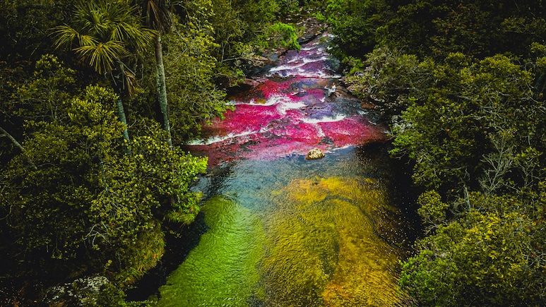 Why This River In Colombia Turns Five Colours Every Year