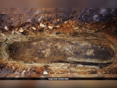 खुदाई में मिला लकड़ी का ताबूत, 6वीं सदी की कहानी फिर जिंदा