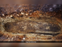 खुदाई में मिला लकड़ी का ताबूत, 6वीं सदी की कहानी फिर जिंदा