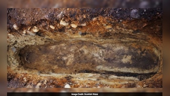 खुदाई में मिला लकड़ी का ताबूत, 6वीं सदी की कहानी फिर जिंदा