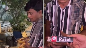 On Camera, Vendors Apply Rat Poison To Fruits In Mumbai