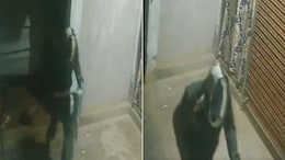 Thief Tries To Cover CCTV, Gets Caught On Camera In Uttar Pradesh, Video Viral