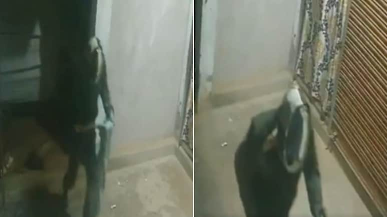 Thief Tries To Cover CCTV, Gets Caught On Camera In Uttar Pradesh, Video Viral
