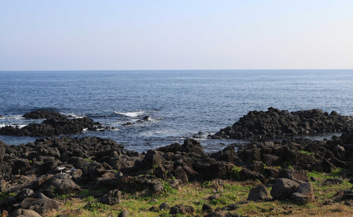 Indian Embassy Issues Travel Advisory After Vlogger Denied Entry at Jeju Island