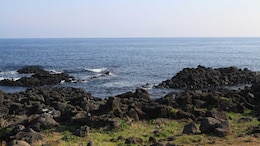 Indian Embassy Issues Jeju Island Travel Advisory After Influencer Sachin Awasthi Detention Fiasco
