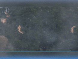 Weather Updates: श्रीनगर में गर्मी, दिल्ली में पारा 30&deg;C के करीब, सिक्किम में बर्फबारी... पूरे देश में बदल रहा है मौसम का मिजाज