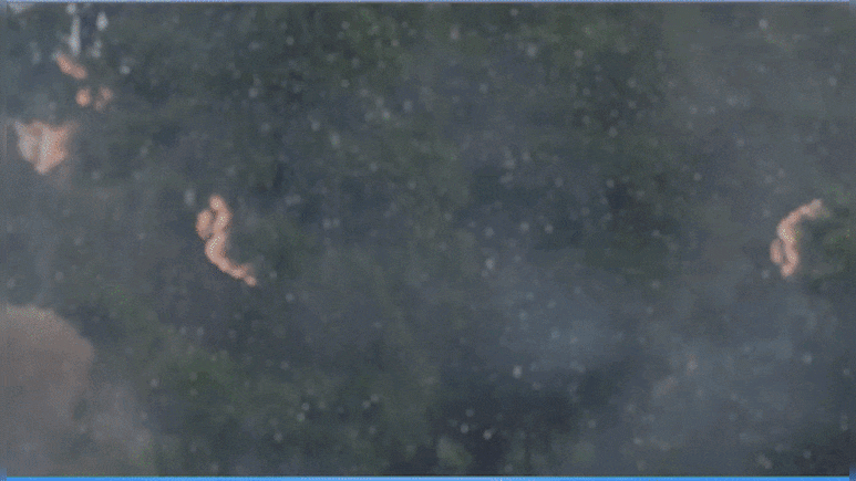 Weather Updates: श्रीनगर में गर्मी, दिल्ली में पारा 30&deg;C के करीब, सिक्किम में बर्फबारी... पूरे देश में बदल रहा है मौसम का मिजाज