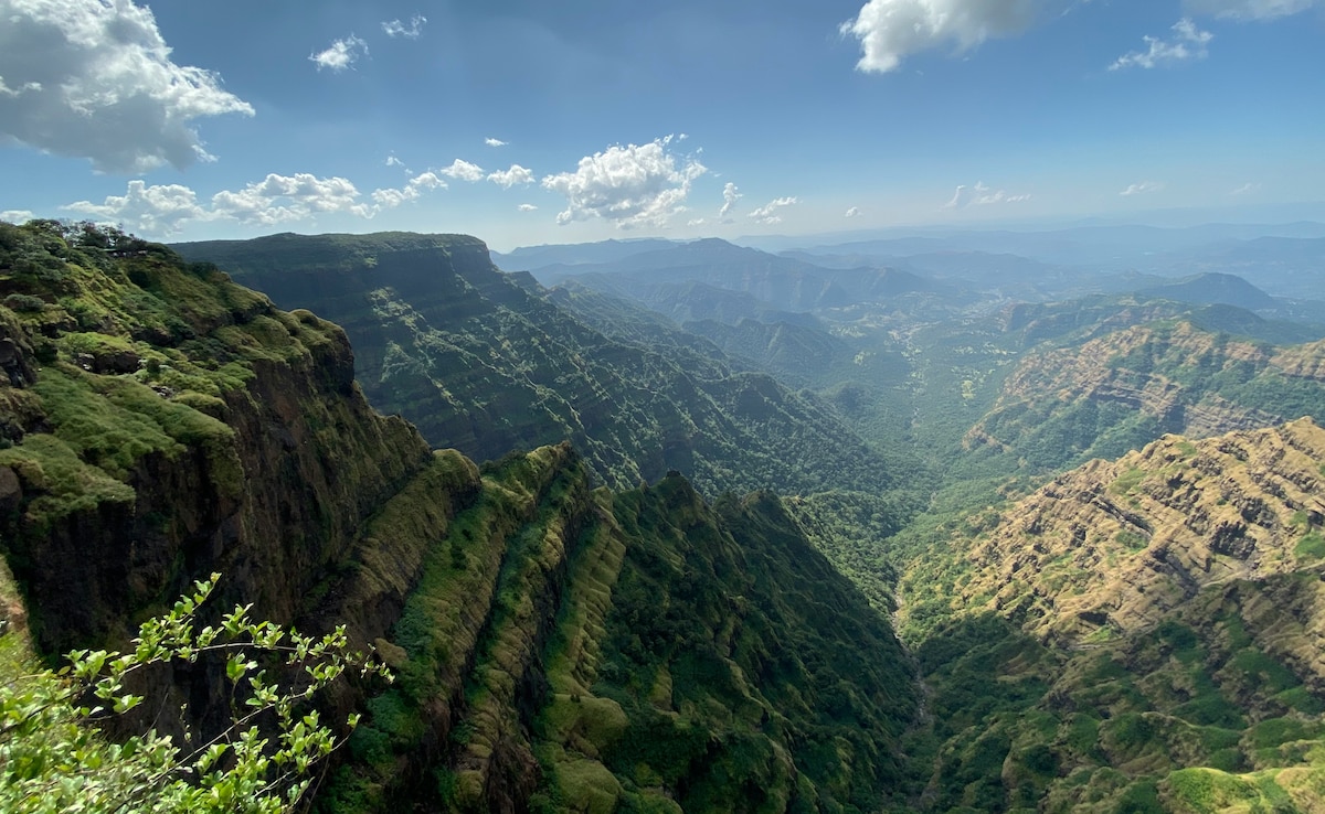 Latest and Breaking News on NDTV