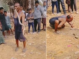 बहादुरी या पागलपन? बिना डरे मुंह से सांप उठा लेता है ये शख्स, वायरल Video देख उड़ जाएंगे होश