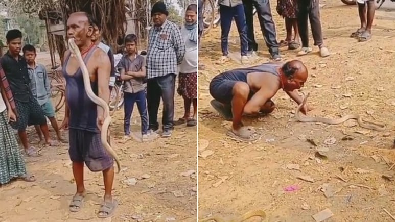 बहादुरी या पागलपन? बिना डरे मुंह से सांप उठा लेता है ये शख्स, वायरल Video देख उड़ जाएंगे होश
