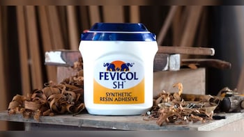 Pidilite Industries Q3 Results: Profit Falls 12%, Revenue Growth Stays Strong