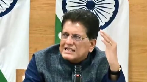 Piyush Goyal Urges Exporters To Utilise India's FTAs With UK, EU, US For Trade
