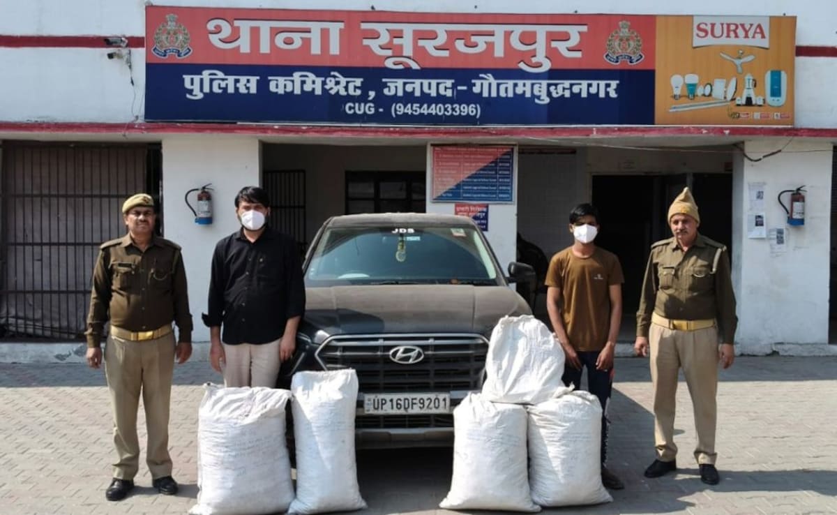 ग्रेटर नोएडा: ₹12 लाख के गांजे के साथ दो तस्कर गिरफ्तार, पुलिस के सामने आरोपियों ने किया चौंकाने वाला खुलासा