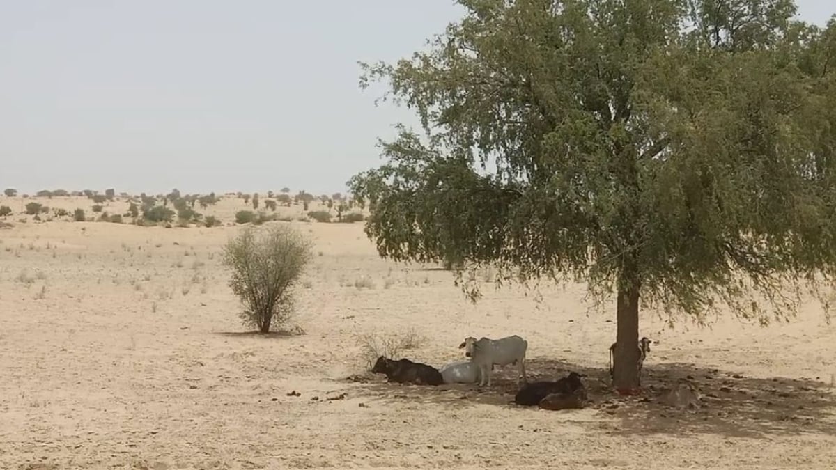 Latest and Breaking News on NDTV