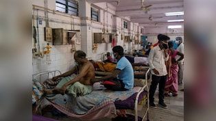 बिहार में डॉक्टरों के 56% पद खाली, स्वास्थ्य सेवाओं में सीमांचल सबसे पीछे,  ये आंकड़े क्यों चौंकाते हैं? जानिए