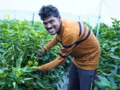 How Kheyti Is Protecting Crops From Pests And Extreme Weather With Affordable Greenhouses