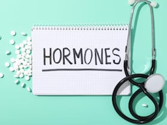 4 Easy Ways For Women To Balance Hormones, According to A Doctor