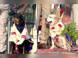 कर्नाटक पुलिस ने 12 साल की सेवा के बाद 'रक्षा' और 'स्टेला' को दी विदाई, भव्य कार्यक्रम में किया गया सम्मानित