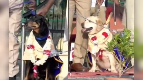 कर्नाटक पुलिस ने 12 साल की सेवा के बाद 'रक्षा' और 'स्टेला' को दी विदाई, भव्य कार्यक्रम में किया गया सम्मानित