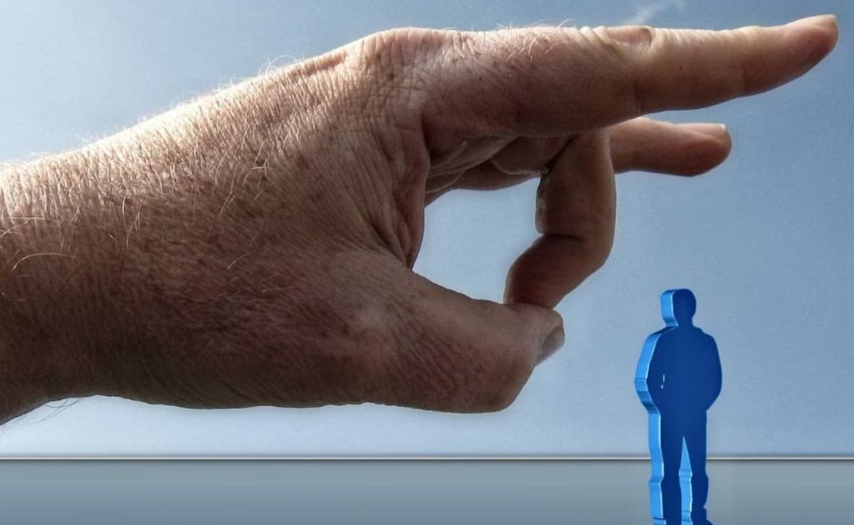 The Art of Baking: From Classic Bread to Artisan Pastries