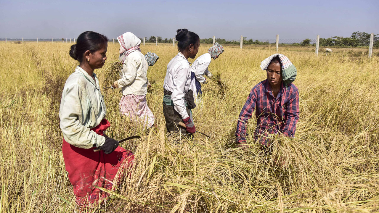 "Indian Farmers Full Protected": Centre's Reassurance On India-US Trade Deal