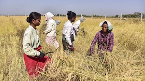 "Indian Farmers Full Protected": Centre's Reassurance On India-US Trade Deal