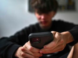 "Blanket Ban Not Appropriate": Maharashtra Plans Social Media Policy For Minors