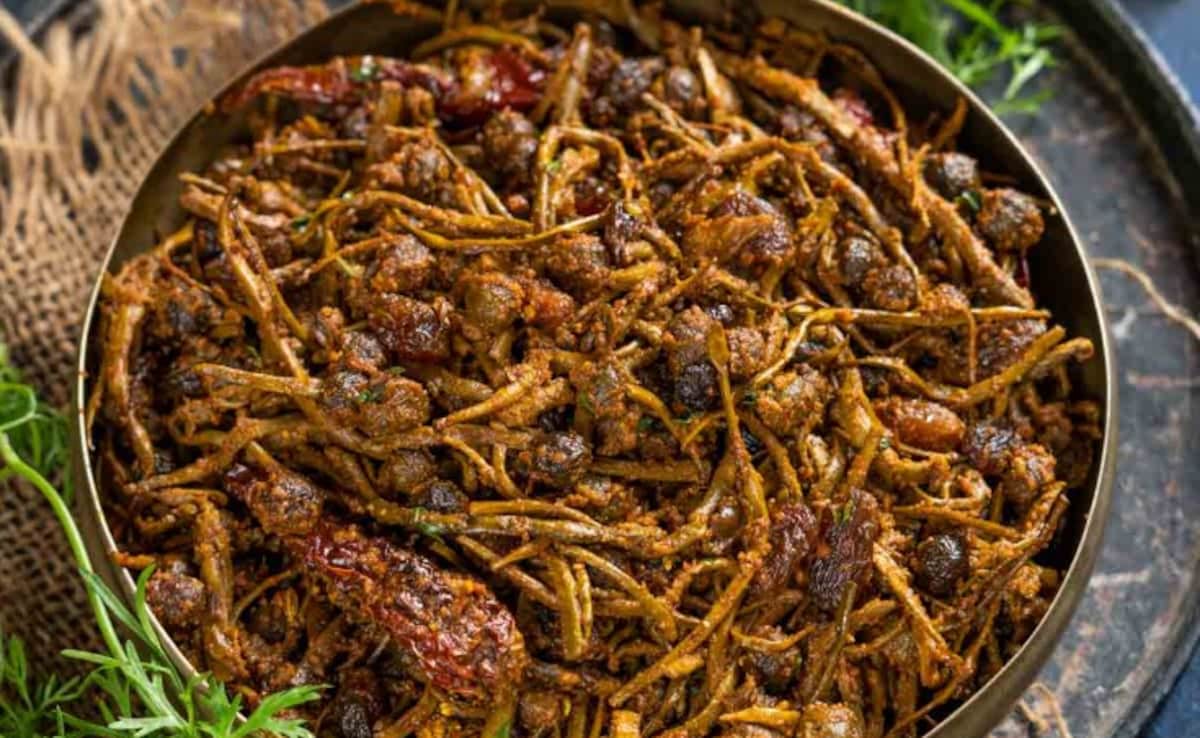 Latest and Breaking News on NDTV Latest and Breaking News on NDTV