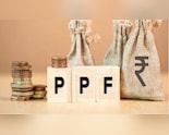 Have A PPF Account? How Investment Before April 5 Will Maximise Returns