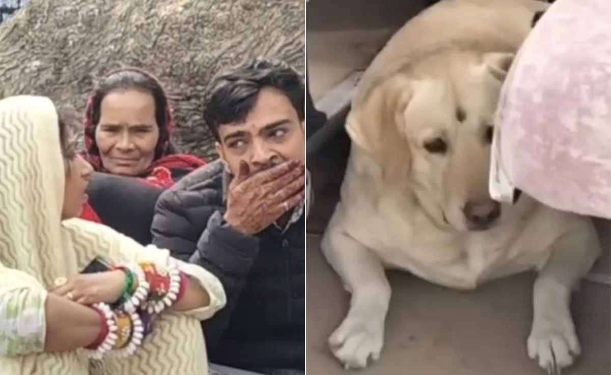 Bride's Pet Dog Triggers Violent Clash Between Families At UP Wedding
