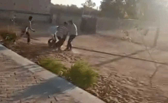 Rajasthan: बाड़मेर में एग्जाम सेंटर से छात्र का अपहरण कर उखाड़े नाखून, लहूलुहान कर सड़क पर फेंका; वीडियो वायरल