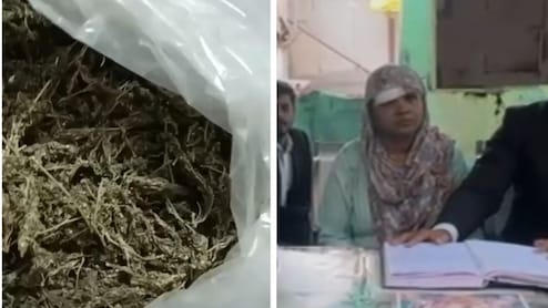 Indore Woman Exposes Husband's Drugs Racket, Records Video, Sends To Cops