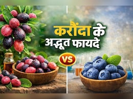 400 रुपये की 100 ग्राम ब्&zwj;लूबैरी छोड़ो, 10 रुपये का करौंदा खाओ, स्वाद और सेहत दोनों में फेल होगा व&zwj;िदेशी फल
