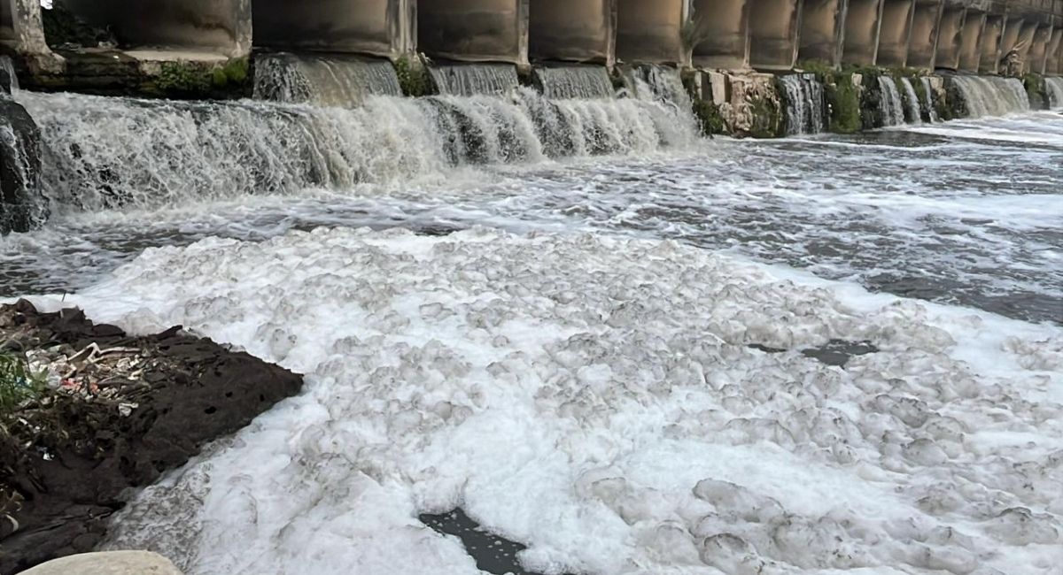 ये दिल्ली की यमुना नहीं, देहरादून की साफ नदी है.. 12 नदियों में घुल चुका है जहर