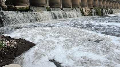 ये दिल्ली की यमुना नहीं, देहरादून की साफ नदी है.. 12 नदियों में घुल चुका है जहर