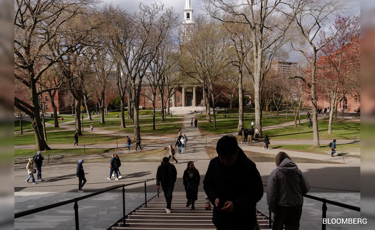 The Art of Baking: From Classic Bread to Artisan Pastries