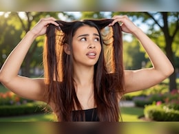 चिपचिपे और ऑयली बालों से परेशान? रीठा-शिकाकाई से नीम तक, ये चीजें दिलाएंगी समस्या से छुटकारा