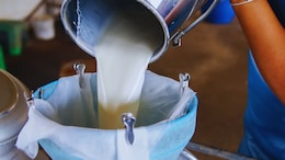 Gokul Milk: गोकुळनं वाढवले दुधाचे दर, जाणून घ्या तुमच्या खिशातून किती रुपये जास्त जाणार?
