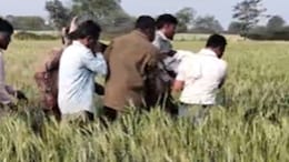 Dhar News: मृत्यु भोज कार्यक्रम में मधुमक्खियों का हमला, 1 की मौत, 20 से अधिक घायल, गांव में पसरा मातम