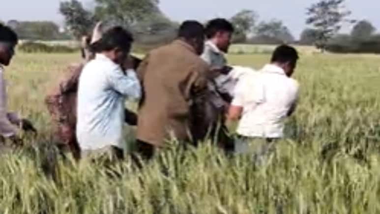 Dhar News: मृत्यु भोज कार्यक्रम में मधुमक्खियों का हमला, 1 की मौत, 20 से अधिक घायल, गांव में पसरा मातम